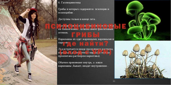 a pvp Ладушкин