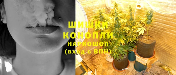 трава Лабытнанги